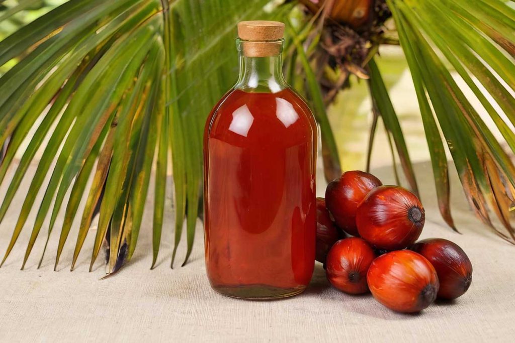 Aceite de palma para animales en la alimentación ganadera