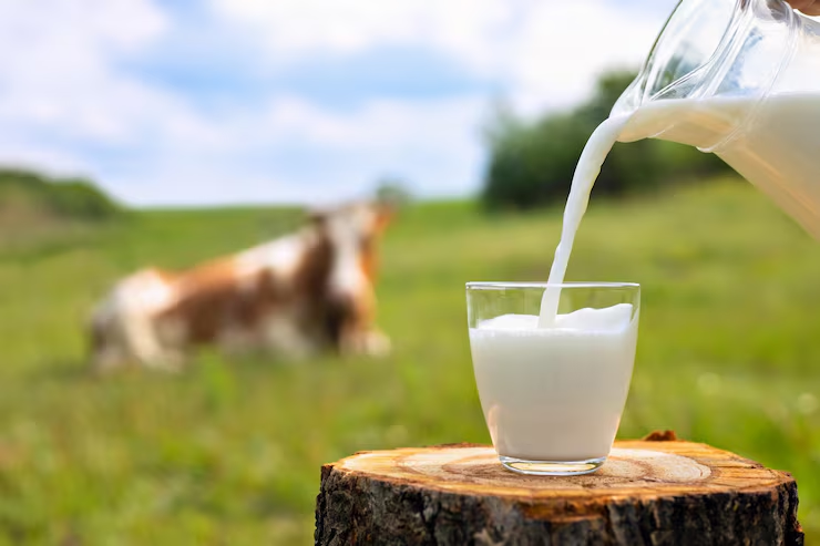Impacto extraordinario del afrecho de trigo en leche bovina