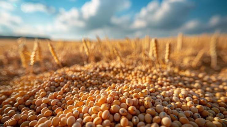 Descubre el impacto fascinante de la torta de soya
