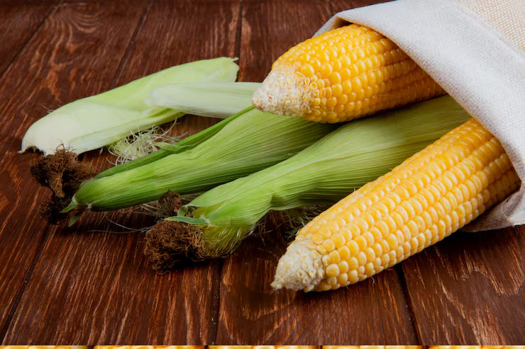 Maíz para Ganado Ingrediente Esencial y Fascinante